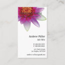 Recherche de de fines herbes cartes visite Holistique