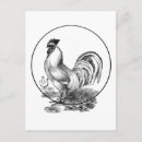 Recherche de vintage coq cartes postales Illustration