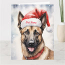 Recherche de malinois vœux cartes Animal