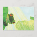 Recherche de grenouille verte cartes postales Crapaud