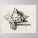 Recherche de vintage cat posters Feline