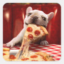 Recherche de humour pizza autocollants Plaisanter