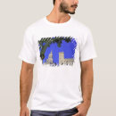 Recherche de bujaruelo Provence