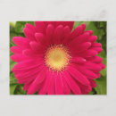 Zoek naar 7x5 posters Bloem