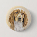 Recherche de welsh badges Chien