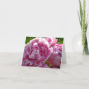 Recherche de gîte la vœux cartes Rose