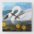 Zoek naar audubon klokken Vogelkunst