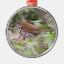 Recherche de grive Animaux