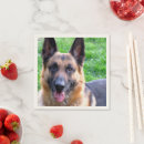 Recherche de de de berger allemand serviettes Dog