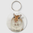 Zoek naar gerbils sleutelhangers Schattig