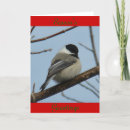Recherche de mésange Oiseau chanteur
