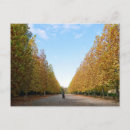 Recherche de avenue de moi cartes postales Photographie