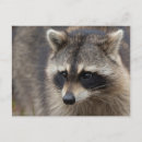 Recherche de loto cartes postales Personne