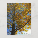 Recherche de arbre jaune cartes postales Bleu
