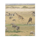 Recherche de habitat blocsnotes Mammifère