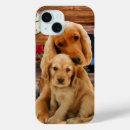 Recherche de labrador iphone 15 coques Chiots