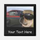 Recherche de voiture de chien magnets Dog