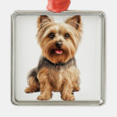 Recherche de petit chien ornements Mignon