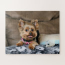 Zoek naar yorkie puzzels Doodsbang