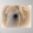 Recherche de puce art Gris