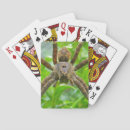 Recherche de araignée jeux de cartes Insecte