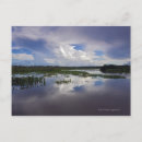 Recherche de delta cartes postales Rivière