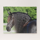 Zoek naar friesian horse puzzels Ras