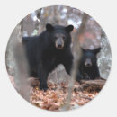 Recherche de oreilles autocollants Pour tous