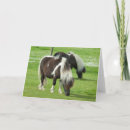 Recherche de poney shetland vœux cartes Ferme