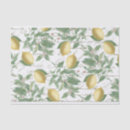 Recherche de lemon tissue paper Botanique