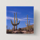 Recherche de cactus saguaro badges Paysage