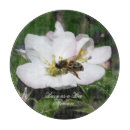 Recherche de botanique planches à découper De pendaison de crémaillère
