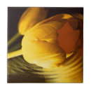 Recherche de romantique carreaux Pour elle