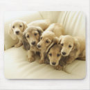 Recherche de meubles tapis souris Horizontal