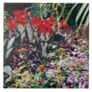 Recherche de guérison carreaux Amour