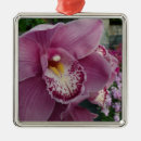 Recherche de orchidée ornements Fleur