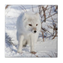 Recherche de arctique carreaux Canada