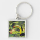 Recherche de bec porteclés Toucan