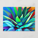 Recherche de agave cartes postales Plante