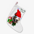 Recherche de pitbull chaussette de noël Dogs