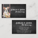 Recherche de salon de toilettage cartes visite Salon pour animaux