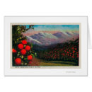 Recherche de orangeraie cartes postales Verger