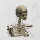 Recherche de thoracique cartes postales Médecine