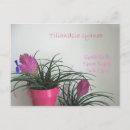 Recherche de quille cartes postales Fleurs