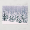 Recherche de neige couverte cartes postales Sapin