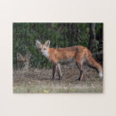 Recherche de espion puzzles Animal