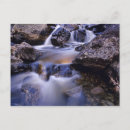 Recherche de fisher cartes postales Colorado