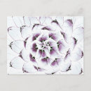 Recherche de agave cartes postales Feuille
