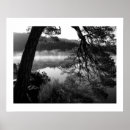 Recherche de frégate posters Nature