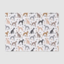 Zoek naar italiaans tissue papier Gezelschapsdieren